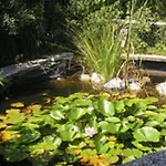 דירה In Silbecke Mit Garten