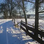 In Silbecke Mit Garten