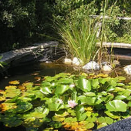 Attractive In Silbecke With Garden Attendorn