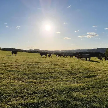 Апартаменты In Silbecke Mit Garten