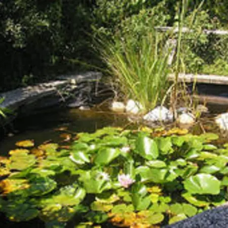 公寓 In Silbecke Mit Garten