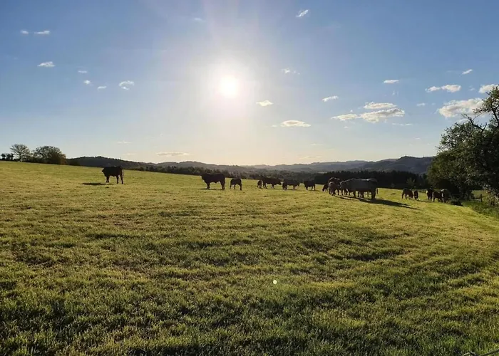 公寓 In Silbecke Mit Garten