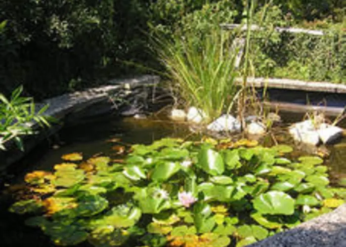 公寓 In Silbecke Mit Garten