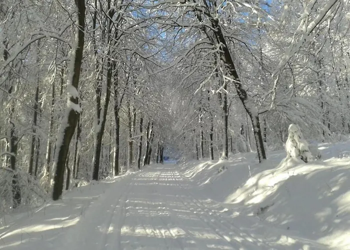 In Silbecke Mit Garten Аттендорн