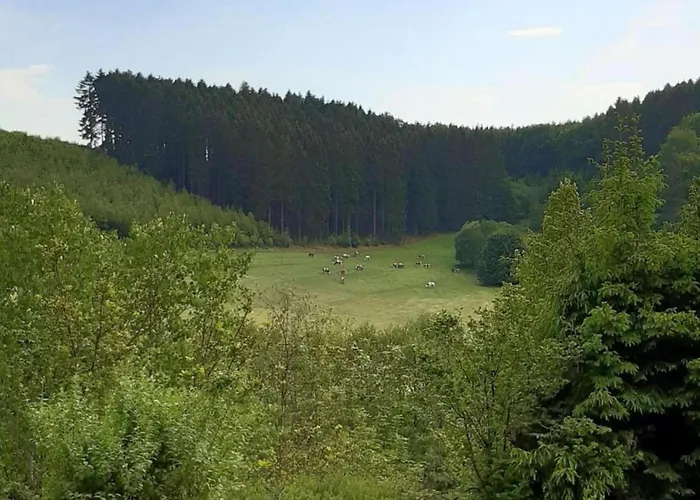 In Silbecke Mit Garten Апартаменты Аттендорн