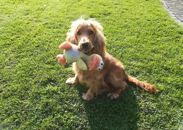 Апартаменты In Silbecke Mit Garten Аттендорн